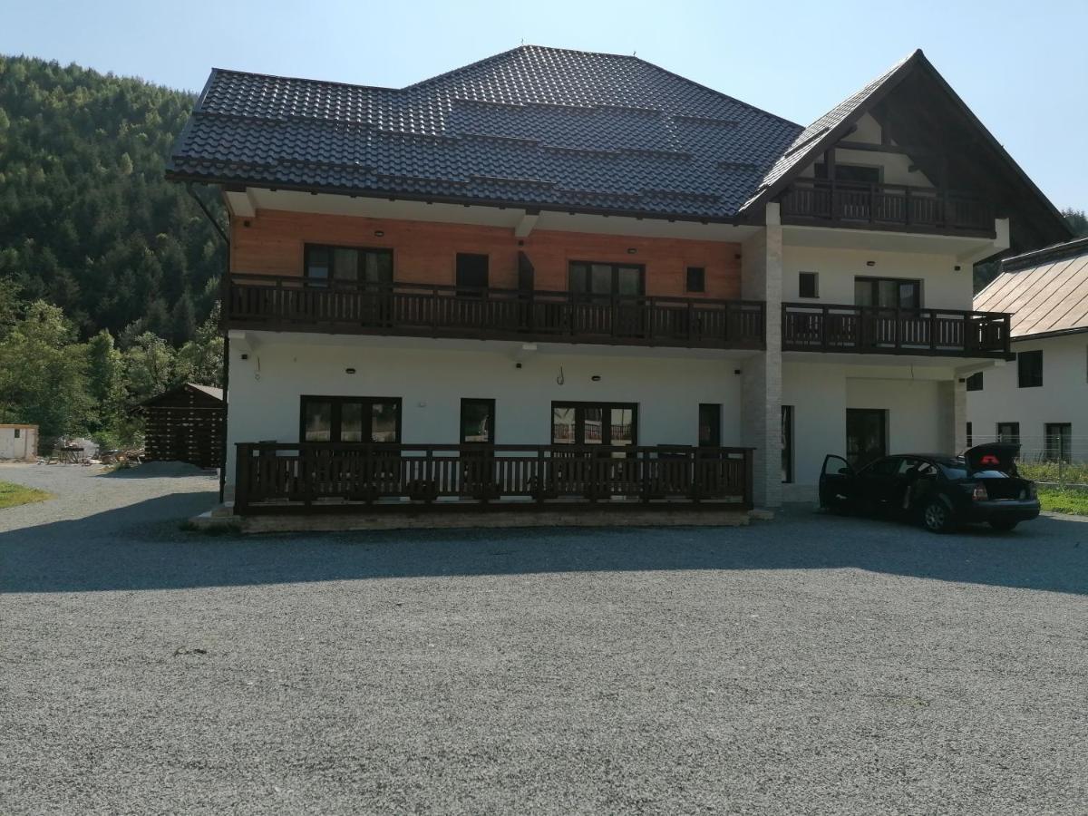 Pensiunea Armonia Albac Exterior photo