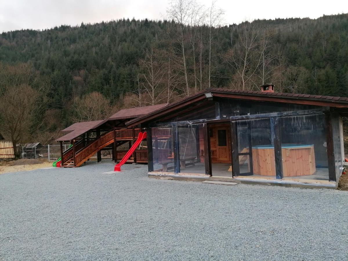 Pensiunea Armonia Albac Exterior photo